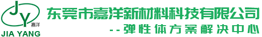 东莞市嘉洋新材料科技有限公司